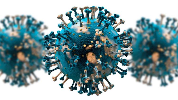 Corona-Pandemie: Kreisweit gibt es aktuell 235 Infizierte.