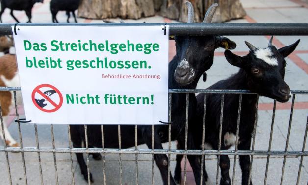 Hagenbeck-Chef Dirk Albrecht: „Bis Jahresende halten wir durch“ | SHZ