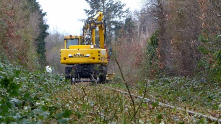 Reaktivierung der Bahnstrecke „Hein Schönberg“ könnte sich