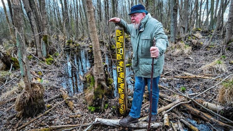 Biologe Michael Succo fordert ein stärkeres Engagement für den Lebensraum Moor.  Bei Kieshof fehlen 60 Zentimeter Wasser – das Moor stirbt.