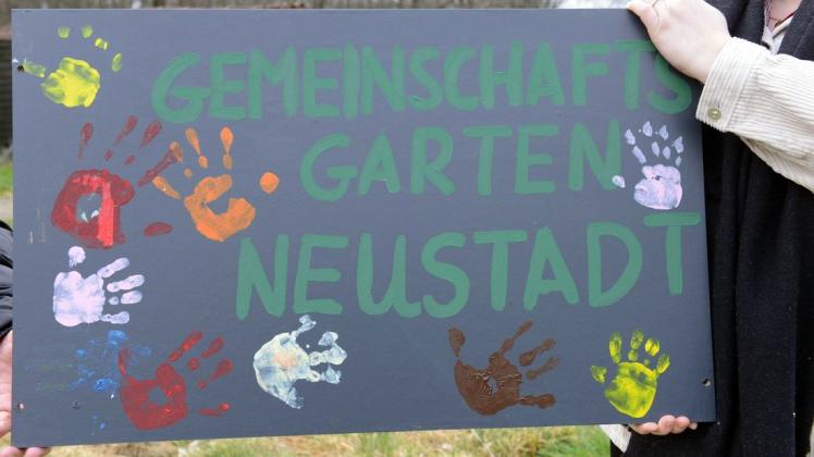 Der neue Gemeinschaftsgarten in der Kleingartensiedlung am Lönsweg in Quakenbrück soll zu einem Treffpunkt mitten im Grünen werden. Der neue Gemeinschaftsgarten in der Kleingartensiedlung am Lönsweg in Quakenbrück soll zu einem Treffpunkt mitten im Grünen werden.