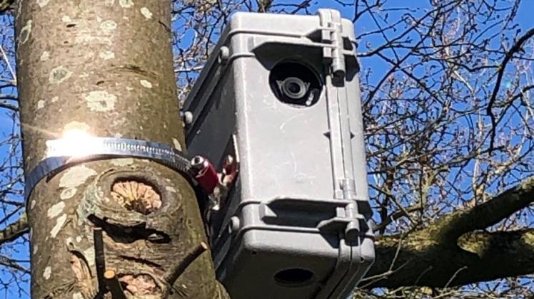 Am Uhlenweg in Ihrhove ist ein Videogerät an einem Baum befestigt worden.