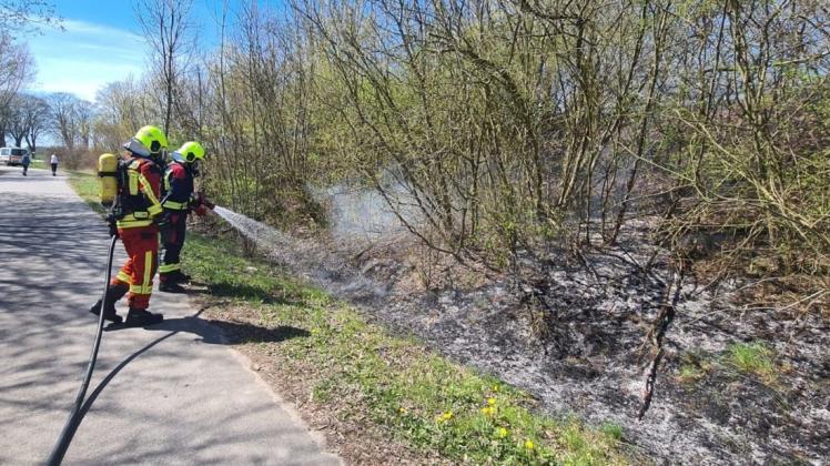 Mittlerweile ist ein großer Teil der Hecke in Flammen aufgegangen.