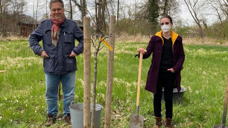 Klaus-Martin Bresgott, Projektleiter und Manager der Kulturbüro der EKD sowie Kantorin Oana Maria Bran pflanzen den jungen Baum im Lenzener Burgpark.