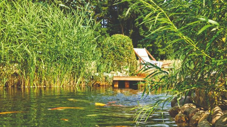 shzGartenschule Frühjahrsputz im Gartenteich SHZ