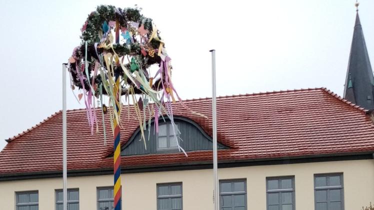 Der Wariner Maibaum anno 2021 steht vorm Rathaus.
