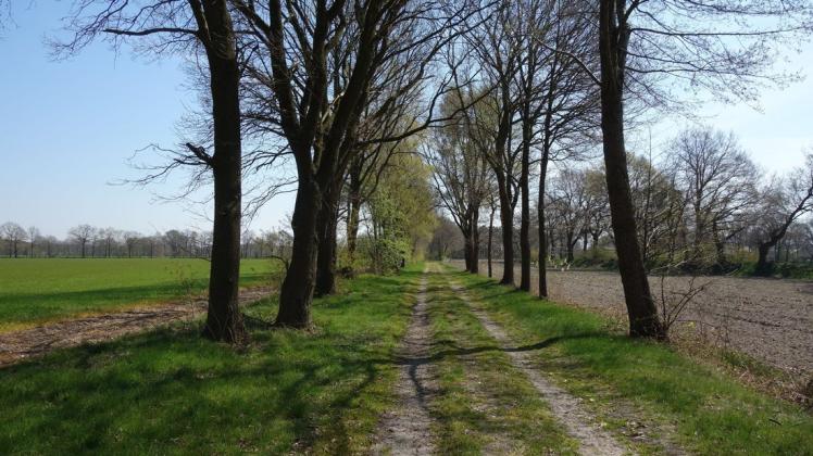 Überplant? Ein Feldweg in Altmoorhausen. Überplant? Ein Feldweg in Altmoorhausen.