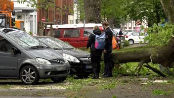In Osnabrück ist ein Baum auf ein Auto gefallen.