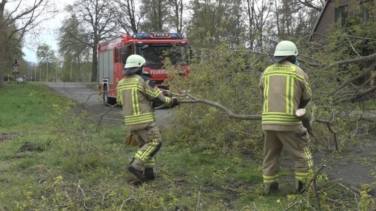 Feuerwehr wegen Sturmtief "Eugen" im Einsatz: Am Albertusweg war ein Baum auf die Straße gestürzt.