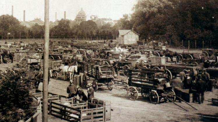 Ein wöchentliches Großereignis war früher der Schweinemarkt auf dem heutigen Hans-Böckler-Platz. Im Hintergrund ist die Lange Straße zu sehen.