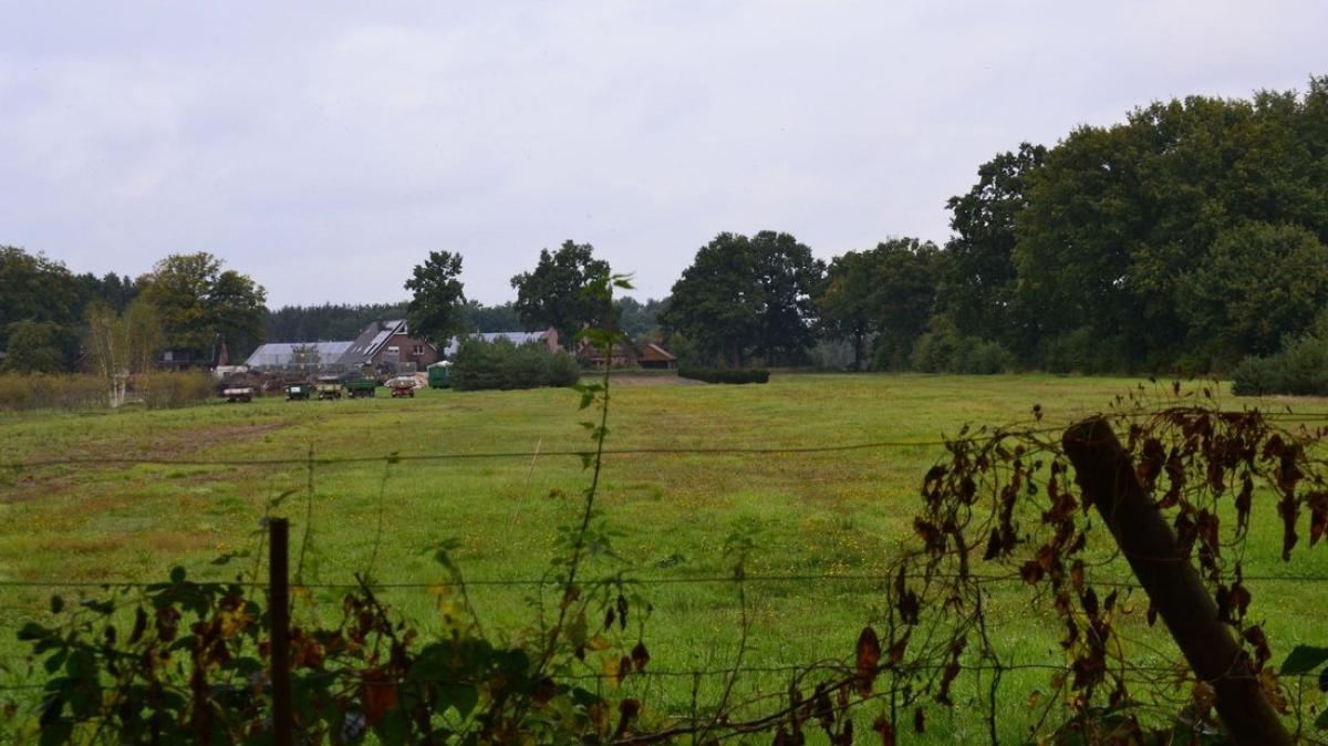 Heidgraben: Einwand der Naturschutzbehörde verzögert Neubaugebiet | SHZ