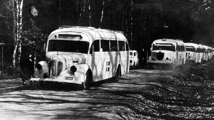Mit der konzertierten Aktion „Weiße Busse“ des schwedischen Roten Kreuzes wurden nach Geheimverhandlungen des schwedischen Diplomaten Graf Folke Bernadotte mit dem Reichsfühhrer SS, Heinrich Himmler, ab Mitte März 1945 auch die auf Dreibergen einsitzenden Skandinavier gerettet.