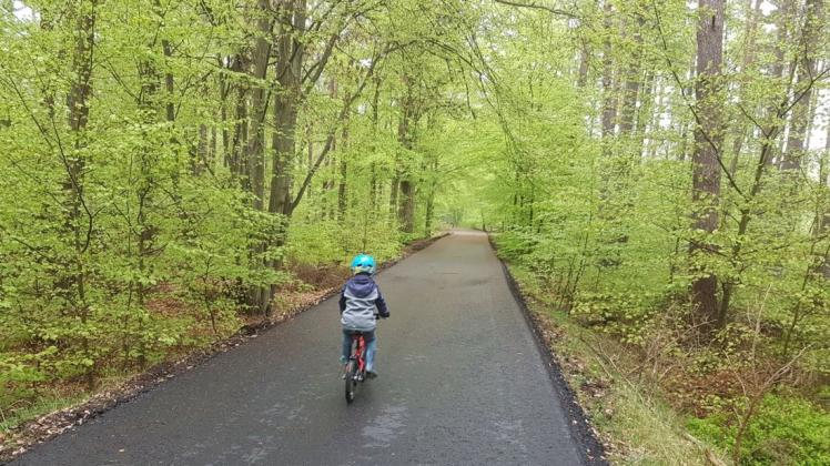 Der kleine Lasse freut sich über den tollen aspaltierten Forstweg, wo er mit seinem Rad jetzt so richtig lang flitzen kann. Natürlich müssen Radler auf Wanderer Rücksicht nehmen.