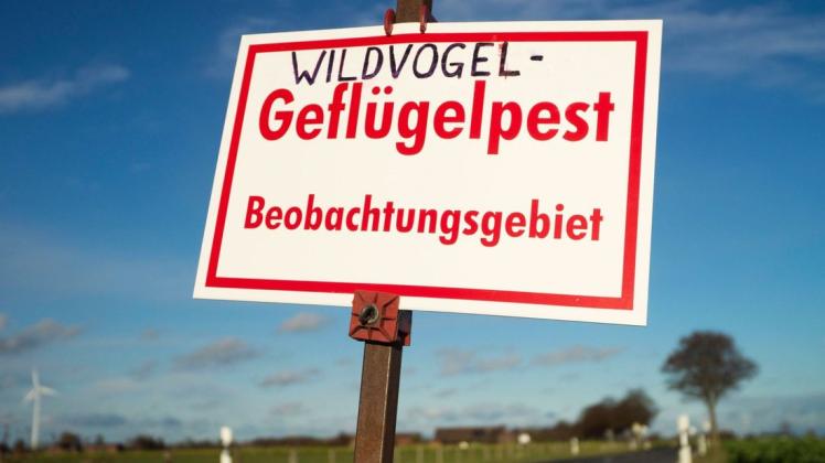 Nach einem Geflügelpest-Ausbruch in Bremen sind Teile der Gemeinde Ganderkesee zum Beobachtungsgebiet erklärt worden. (Symbolfoto)