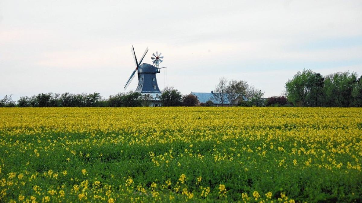 wetter auf wyk auf föhr