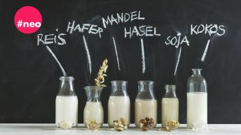 Bei den pflanzlichen Milchalternativen ist die Auswahl im Supermarkt mittlerweile groß. Willst Du wissen, wie man Hafermilch, Mandelmilch und Sojamilch selber macht? Dann bleib dran.