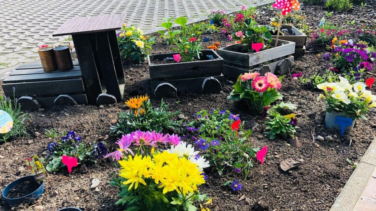 Kindergartenpädagogik nach Fröbel in der Kita Butzemannhaus | SVZ