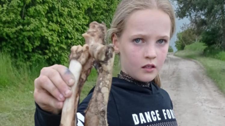 Knochen eines Rehkitzes fand Feli beim Spaziergang mit ihrer Schwester und dem Hund.