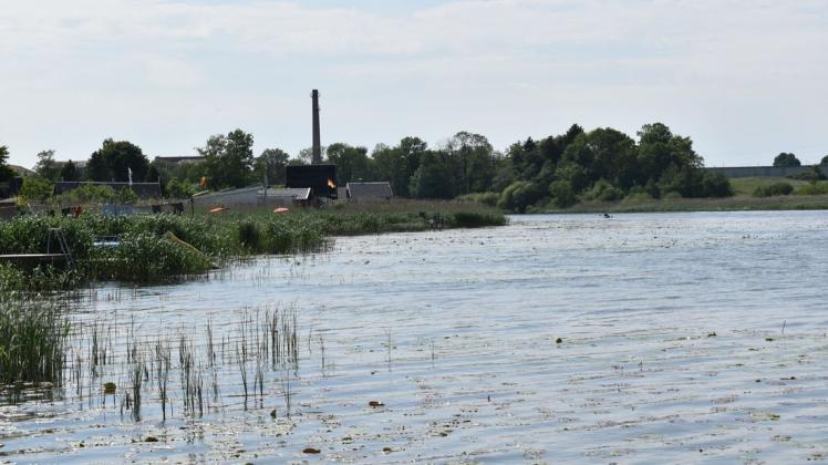 Seerosen auf dem Bützower See. Eine Studie zeigt auf, wie die Qualität des Gewässers verbessert werden könnte.