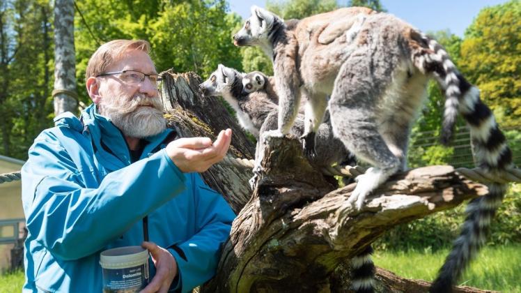 Fast 30 Jahre war Udo Nagel Direktor des Rostocker Zoos. Zu den Tieren hat er immer eine tiefe Bindung gehabt - wie etwa zu den zutraulichen Lemuren.