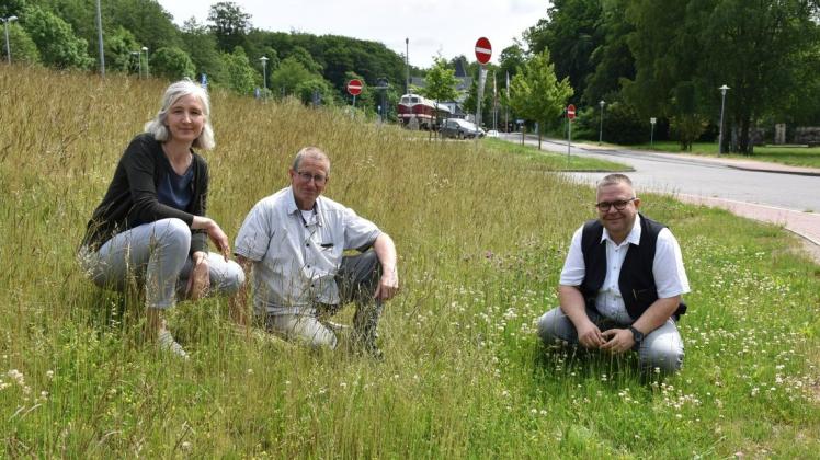 Entspannung auf der Blühwiese am ehemaligen Güterbahnhof in Gadebusch: Andrea Nagel vom Klimabeirat, Uwe Tews (M.), Leiter des Bauhofes, und Bürgermeister Arne Schlien.