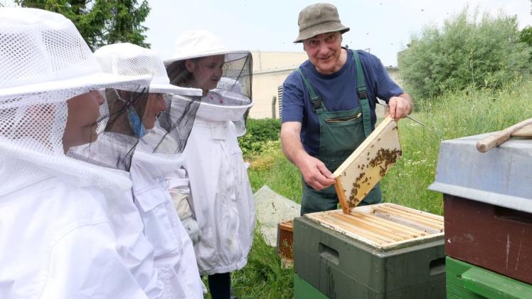 Am Rande des Rapsfeldes: Imker Wolfgang Opitz zeigt den Schülern des Imker-Workshops die Bienenwaben.