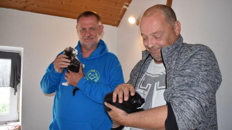 Die beiden Kätzchen werden von den Vereinsvorsitzenden Karl-Heinz Winkler und Christoph Heuer (v.l.) gut versorgt.