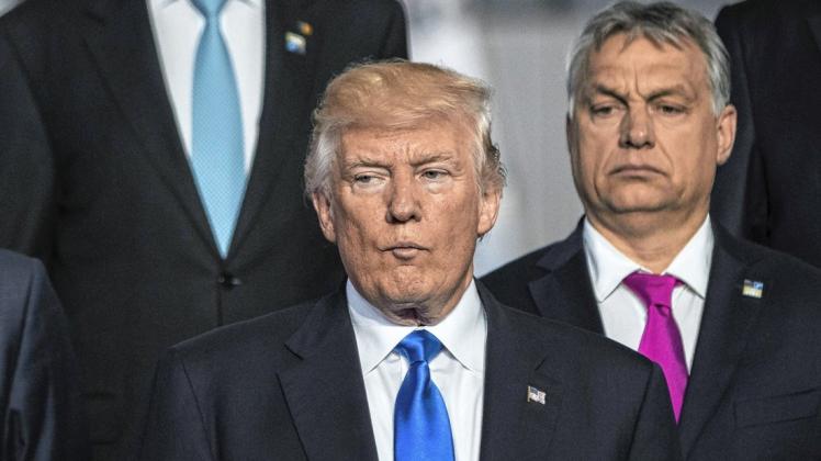 Der Ex-Präsident der USA, Donald Trump, und Ungarns Ministerpräsident Viktor Orban werden als Populisten eingestuft.