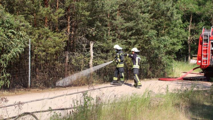 Einsatzkräfte der Hagenower Feuerwehr löschten am späten Donnerstagnachmittag einen kleinen Brand in einer Kiefernschonung am Rande der Stadt.