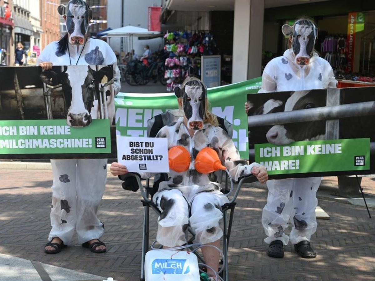 PETA ZWEI-Streetteams demonstrieren gegen Exotenleder