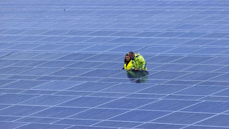 Ein Solarpark in Mecklenburg-Vorpommern: Ist Fotovoltaik eine Konkurrenz für klassische Landwirtschaft?