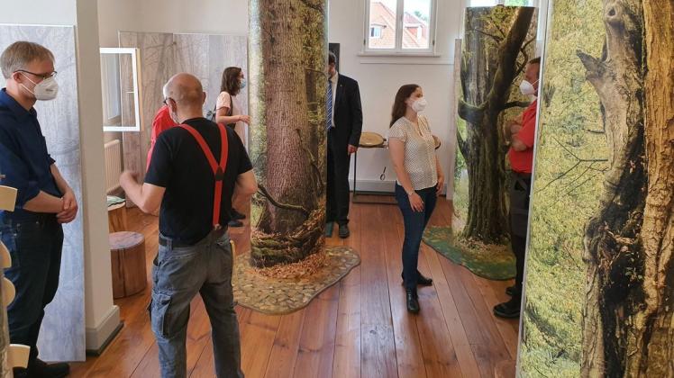 An sechs Wissensbäumen können sich Interessenten jetzt im Zuge der Ausstellung „Wilder Wald am großen Fluss“ im Neuhauser Haus des Gastes über den Hartholz-Auenwald an der Elbe informieren.