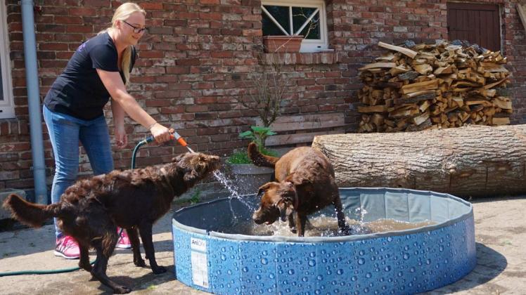 Einige Hotelgäste, wie hier Labradoodle Wilma und Labrador Kate, lieben Wasser und jauchzen regelrecht vor Freude, wenn Hotelchefin Marcella Maunert sie mit dem Gartenschlauch nass spritzt.