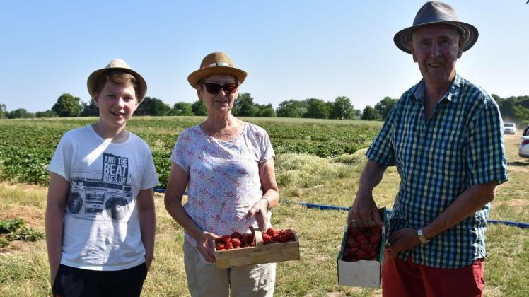 Rund vier Kilogramm Erdbeeren hat Ingeborg Kolbe mit ihrem Mann und dem Enkel auf dem Feld in Hundorf selbst gepflückt