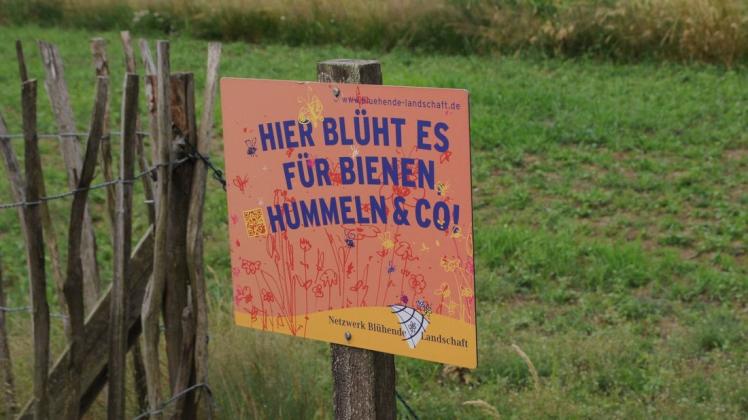 Der Kimaschutzpreis des Jahres 2020 ging an das Projekt "Was summt denn da?" in Hunteburg. Das Geld wurde sofort überwiesen, die Urkunde folgte jetzt.