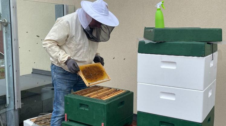 In Schutzkleidung kontrolliert Hobbyimker Norbert Kohnen regelmäßig, wie es den Bienen auf dem Kinodach geht und wie weit die Honigproduktion fortgeschritten ist.