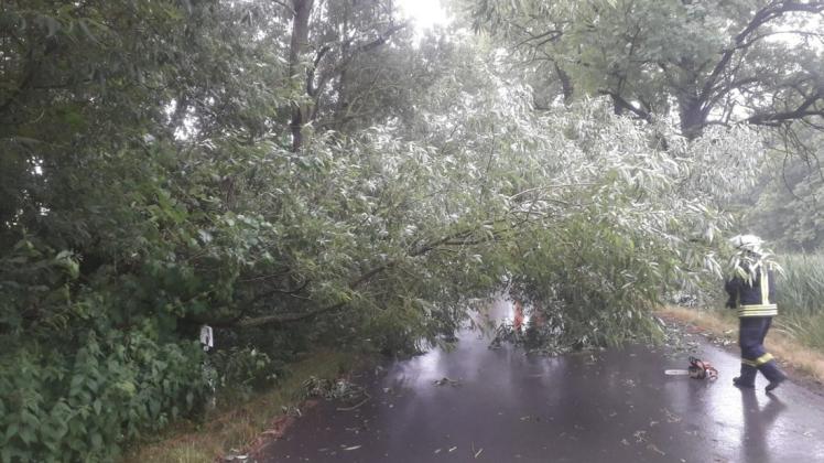 Ein Baum hielt der Regenlast nicht stand, versperrte die Straße zwischen Garz und Hoppenrade. Die Ortswehr beseitigte das Hindernis. Nach knapp 30 Minuten war der Einsatz beendet.