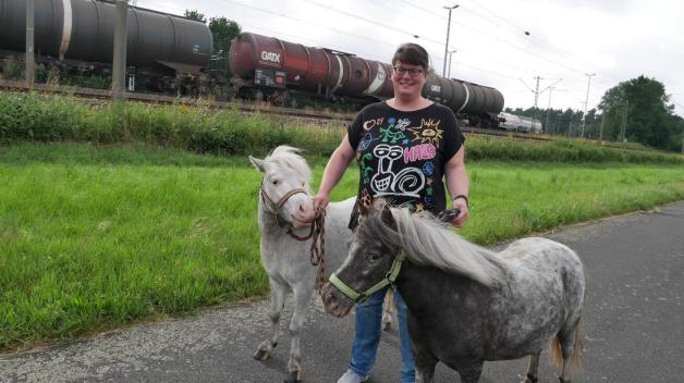 Anspruchsloser Als Ein Hund Lingenerin Geht Mit Ponys NOZ