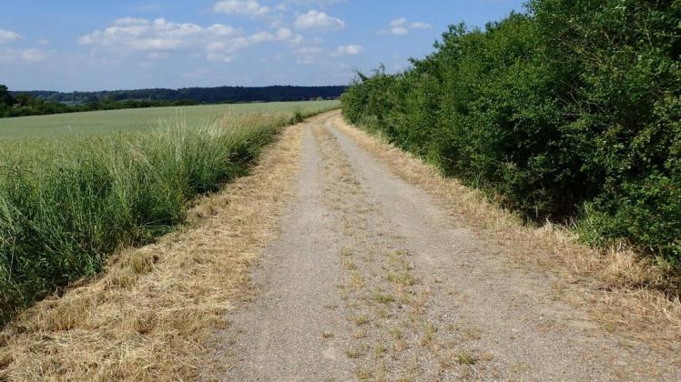 Hier können Wanderer wieder gut gehen: Der Weg am Tempziner See wurde freigeschnitten. Hier können Wanderer wieder gut gehen: Der Weg am Tempziner See wurde freigeschnitten.