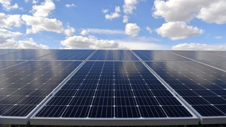 Zwischen Neuhaus und Stapel könnte in den kommenden Jahren ein 76 Hektar großer Solarpark entstehen.