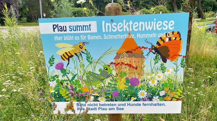 Wie hier am Jugendzentrum Kijuz sind jetzt die Insektenschutzwiesen in Plau am See mit Hinweistafeln versehen worden. Wie hier am Jugendzentrum Kijuz sind jetzt die Insektenschutzwiesen in Plau am See mit Hinweistafeln versehen worden.