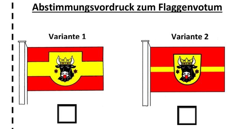Diese beiden Entwürfe stehen zur Abstimmung. Bis Ende des kommenden Monats können die Lübzer sich für eine der Flaggen entscheiden.