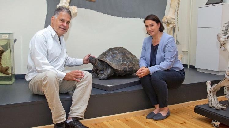 Professor Stefan Richter und Zoodirektorin Antje Angeli freuen sich, dass die Galapagos-Riesenschildkröte Elvida nach ihrem Tod und Präparation einen festen Platz in der Zoologischen Sammlung der Universität Rostock gefunden hat.