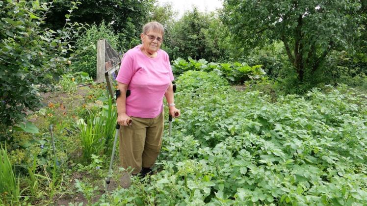 Kämpft mit dem Kartoffelkäfer in ihrem Garten: Barbara Parnitzke