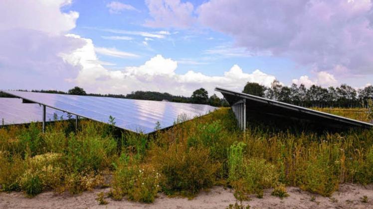 In Marnitz und Suckow sollen weitere Solarparks für die Gemeinde Ruhner Berge entstehen.