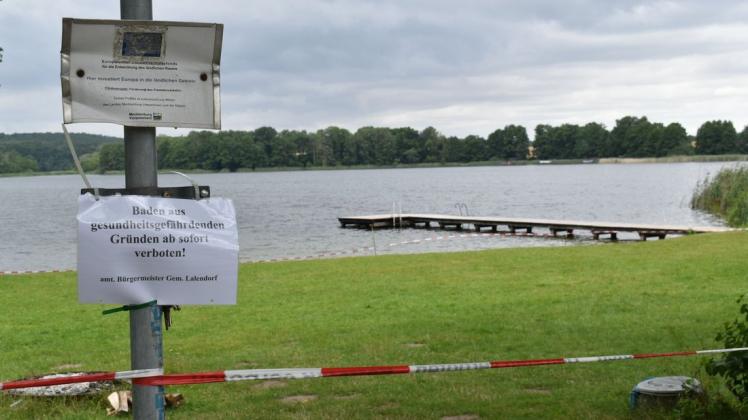 Die Absperrung ist am tiefen Ziest in der Gemarkung Vietgest ist wieder Geschichte: Lalendorfs Gemeinde-Bürgermeister Matthias Streeb hat sie am Mittwochabend entfernt, weil das Gesundheitsamt des Landkreises Rostock die Ursache nicht im Wasser des Sees sieht. Die Absperrung ist am tiefen Ziest in der Gemarkung Vietgest ist wieder Geschichte: Lalendorfs Gemeinde-Bürgermeister Matthias Streeb hat sie am Mittwochabend entfernt, weil das Gesundheitsamt des Landkreises Rostock die Ursache nicht im Wasser des Sees sieht.