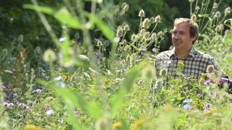 Bruno Hamerich ist einer von landesweit neun Landwirten, die sich an dem Projekt „Bunte Biomasse“ beteiligen und nun Wildpflanzen anbauen.