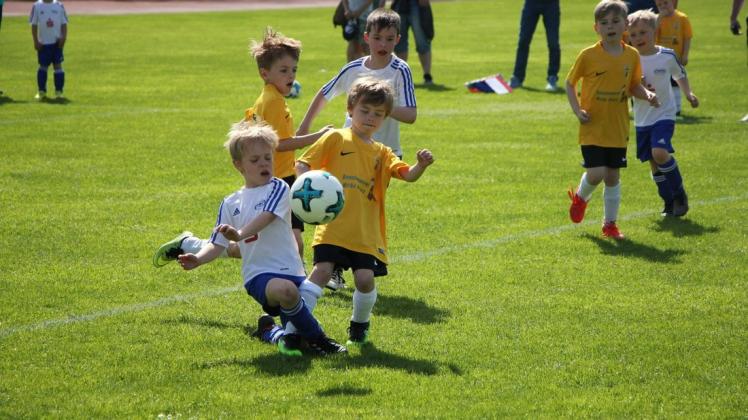 Auch für die Bambini im Fußballkreis Prignitz-Ruppin (hier ein Archivfoto) geht es bald endlich wieder um Punkte. Neun Mannschaften in zwei Gruppen starten in die Saison.