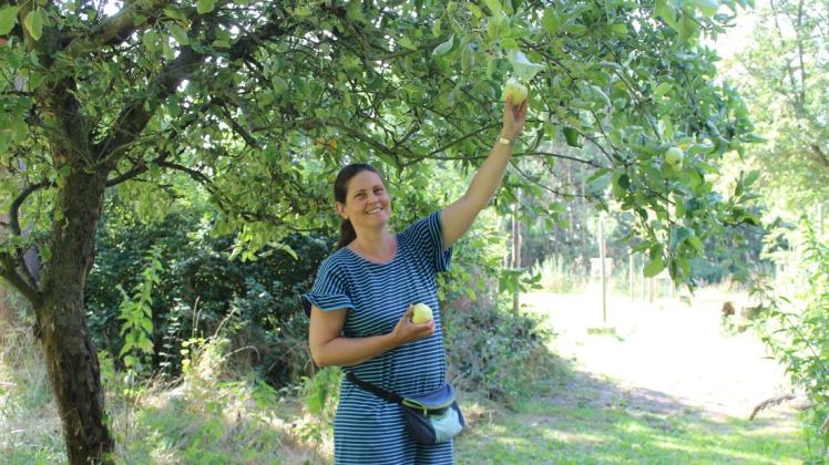 Im Retgendorfer Kulturgarten pflückt Dr. Anja Kofahl die ersten Augustäpfel. Für die Kinder, die an der Naturzeit teilnehmen, sind noch ausreichend Früchte vorhanden.