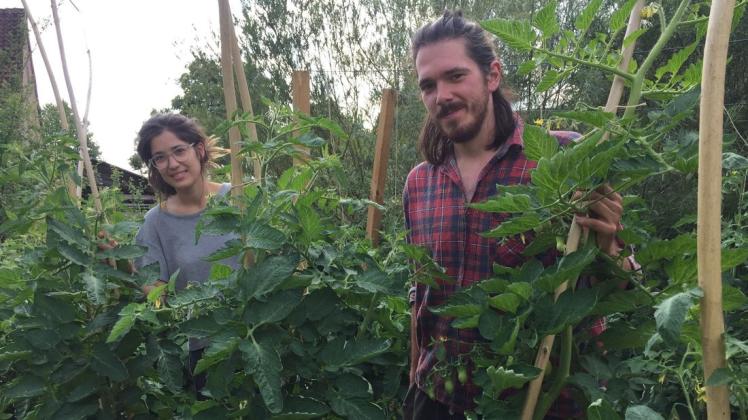 Sie bauen in ihrem Garten Gemüse und Kräuter für Kunden aus der unmittelbaren Umgebung an: Tara Tonollo und Carl Hubatsch